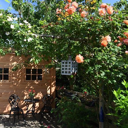 Wadden Eiland Bed En Breakfast Op Texel Oudeschild Exterior foto